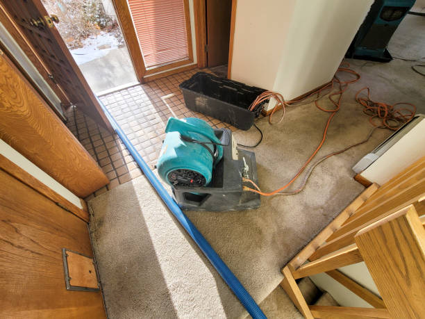 Best Residential water damage restoration  in Pasadena, CA