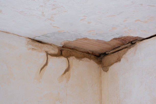 Best Flood damage cleanup  in Pasadena, CA
