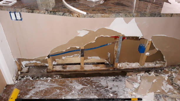 Best Water damage contractors near me  in Pasadena, CA