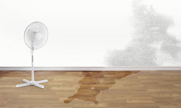  Pasadena, CA Water damage restoration Pros