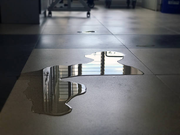 Best Emergency water damage restoration  in Pasadena, CA