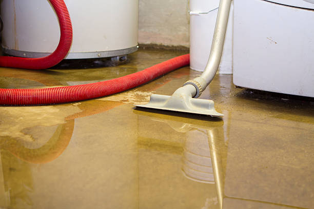 Best Commercial water damage restoration  in Pasadena, CA