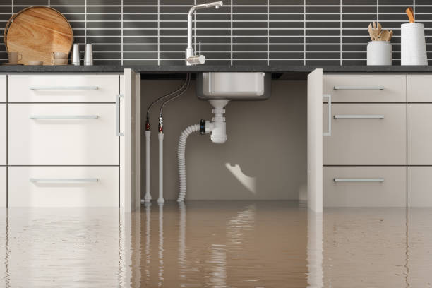 Best Water damage restoration near me  in Pasadena, CA