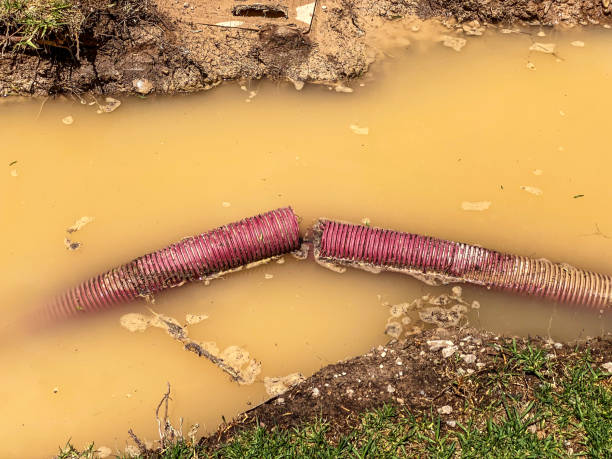 Best Water damage restoration near me  in Pasadena, CA