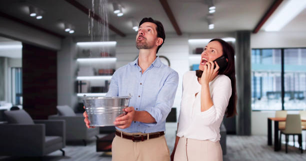 Best Carpet water damage restoration  in Pasadena, CA