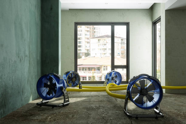 Best Residential water damage restoration  in Pasadena, CA