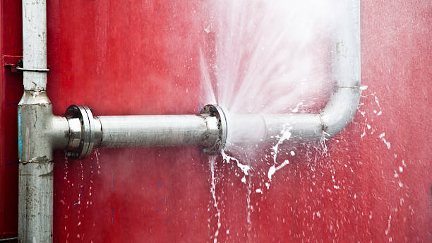 Trusted Pasadena, CA Water damage restoration Experts