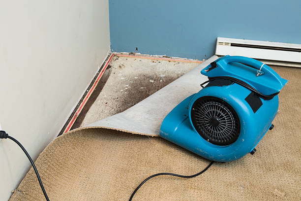 Best Professional water damage repair  in Pasadena, CA